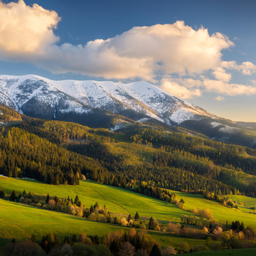 Slovensko - fotografování zvířat